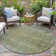 Machine Washable Indoor/Outdoor Xhevrie Green Rug