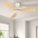 42" 3 - Blade Small Room Ceiling Fan with LED Light and Remote