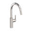 Muncy Single Handle Pull Down Kitchen Faucet-1377339035