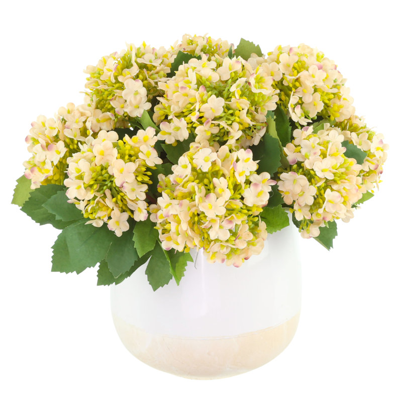 Snowball Hydrangea Arranged in a Ceramic Pot