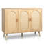 Armoire de rangement pour chaussures Cissiee-106894767