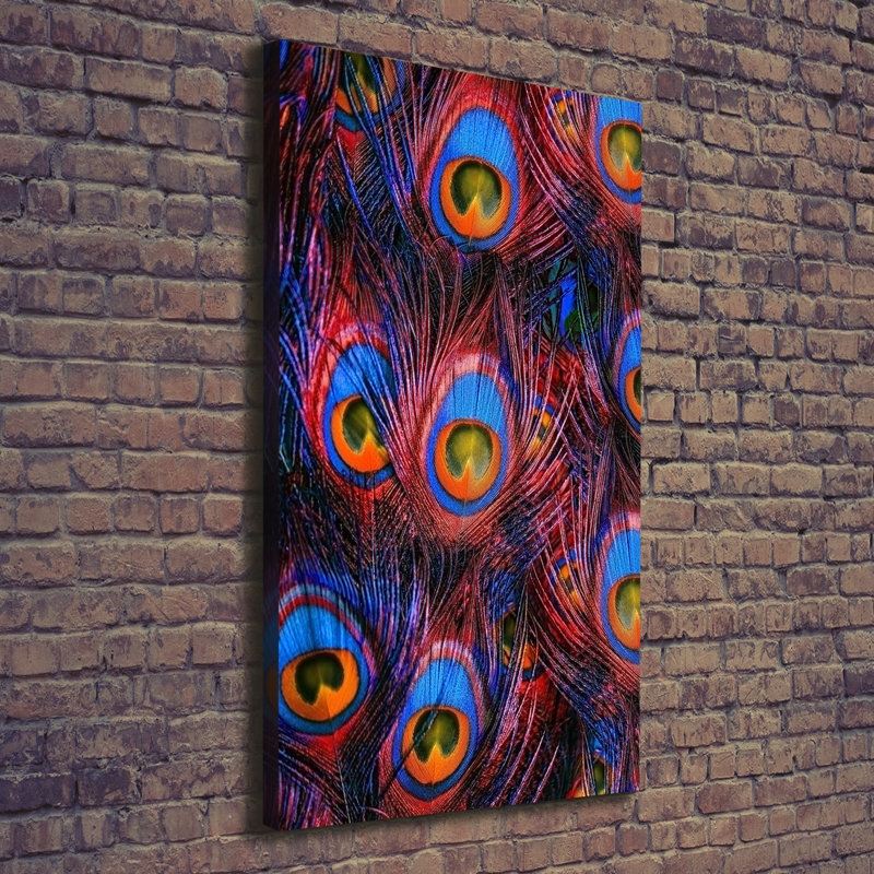 Peacock Feathers - Wrapped Canvas Print