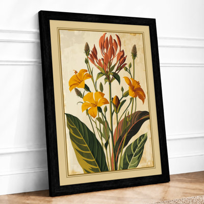 Protea Study Botanical - Framed Print