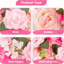Arrangement-1870706465