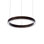 Anillo LED Pendant