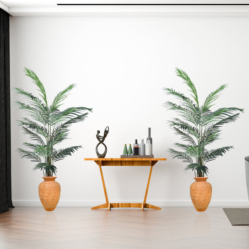 Primrue Palm Plant | Wayfair