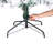 Pine Christmas Tree-34775508