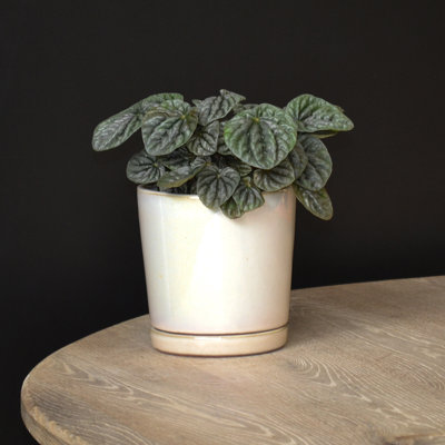 Pot de fleurs en terre cuite i/o series