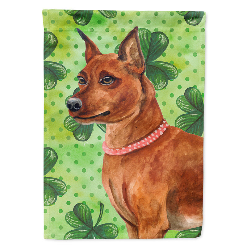 40 x 28 po en polyester à 2 côtés de la st patrick drapeau maison, Pinscher miniature brun