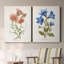 «Botanical I», ensemble de 2 reproductions d'art-271774482-272082555-272082550