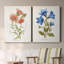 «Botanical I», ensemble de 2 reproductions d'art-272082550-271774482-272082556