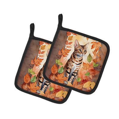 Paire de poignées pour chat Ocicat