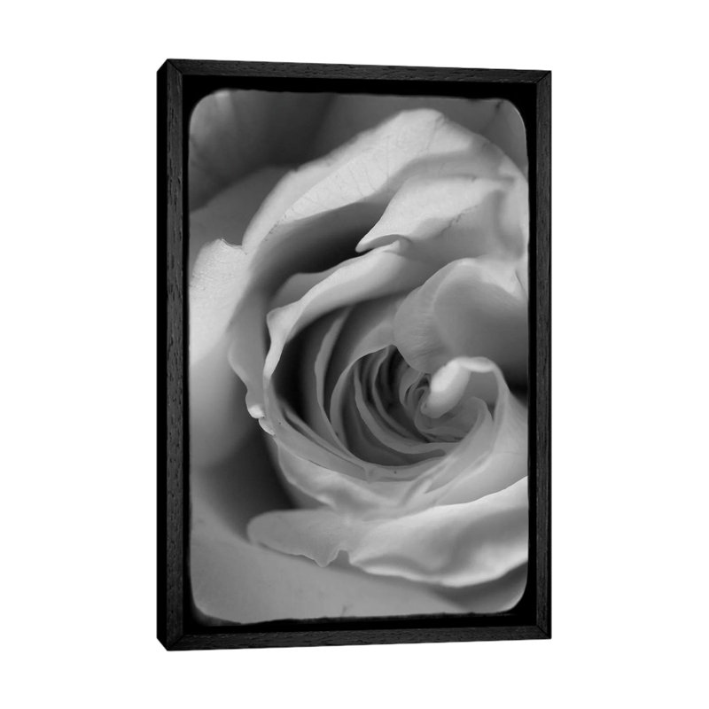 Rose Spiral I by Judy Stalus - Gallery-Wrapped Canvas Giclée on Canvas, 66.04 cm H x 45.72 cm W, Black Framed
