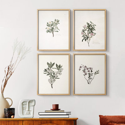 Vintage Floral Print CCI  Framed Print - Set of 4
