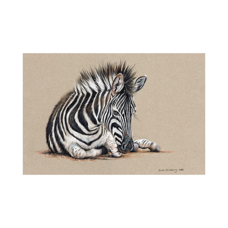 Dessin de zèbre, H 26 po x l 40 po x 1,5 po
