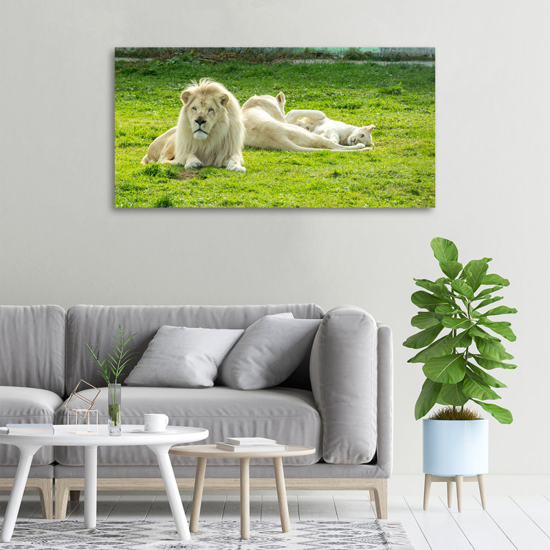 Beige Lions - No Frame Print on Canvas