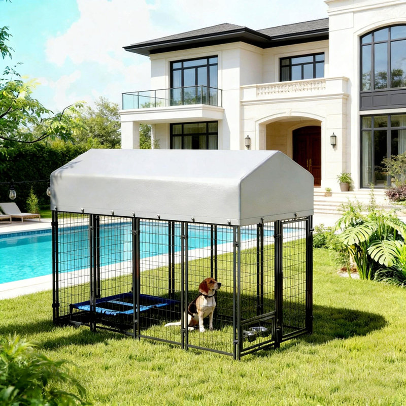Chenil pour animaux spacieux et extérieur