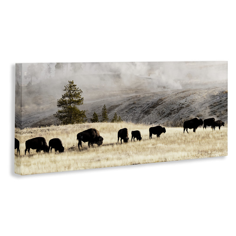 Art mural sur toile brouillard, campagne sauvage par Danita Delimont, H 17 po x l 40 po x P 1,5 po