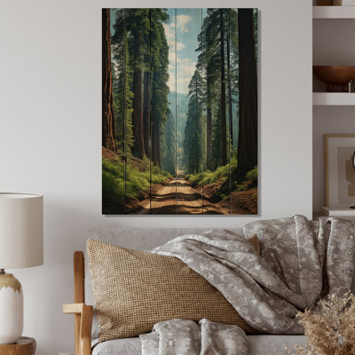 «Breelyn USA Sequoia And Kings Canyon Forest», impression sur bois