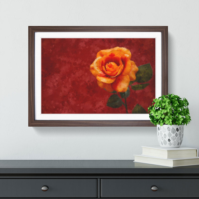 Orange Rose in Bloom - Picture Frame Graphic Art Print, 33cm H x 45cm W x 2cm D, Walnut Framed