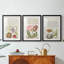Hoefnagel Tropical Specples IX - reproduction encadrée sur mesure de qualité supérieure - 3 pièces-1547542541-1547542540