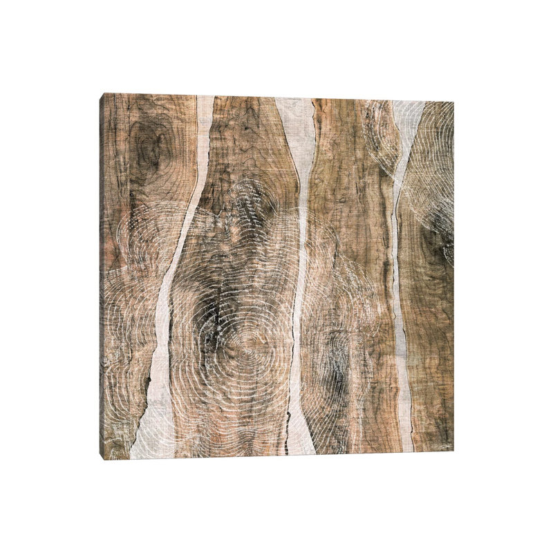 Live Edge III by John Butler - Wrapped Canvas Print, 30.48 cm H x 30.48 cm W