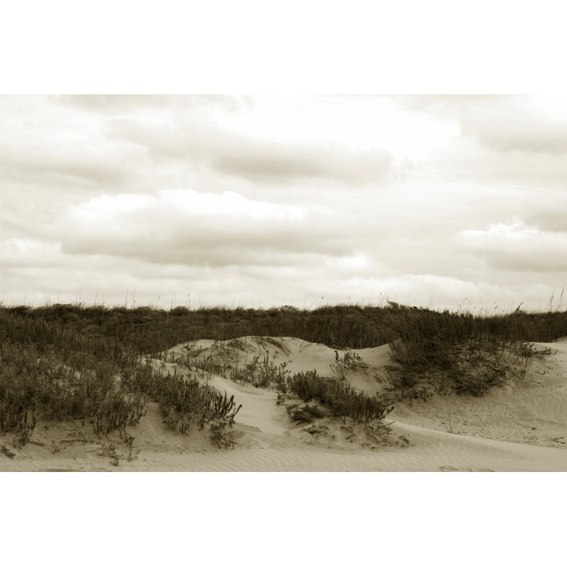 Ocracoke Dune Study II by Jason Johnson - Wrapped Canvas Print, 81cm H x 122cm W