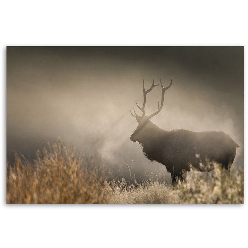 Deer in the Foggy Nature 1 Piece Wall Art on Canvas, 60cm H x 90cm W