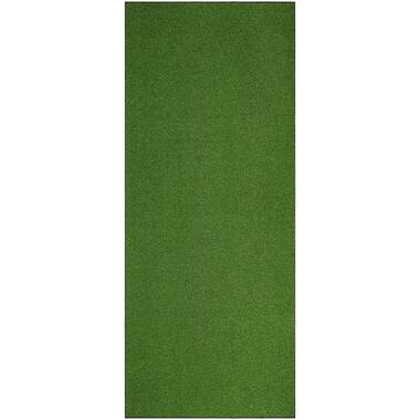 Heavy Duty Anti Skid Backing Turf Ambient Rugs Size: 12' x 12