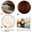 Watercolor Stream Beaver Serenity II - Beaver, art mural-676577665-676577664