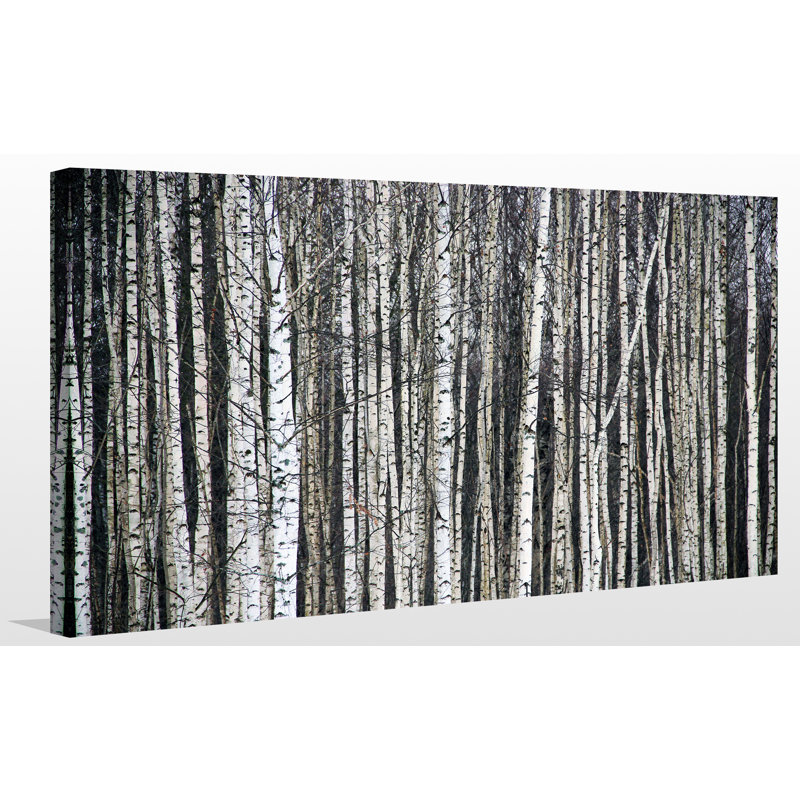 « birchinging around », impression sur toile tendue, H 28 po x l 48 po x P 1,5 po