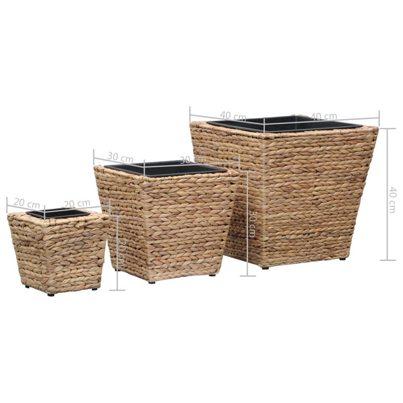Ivanhoe Planter, Brown