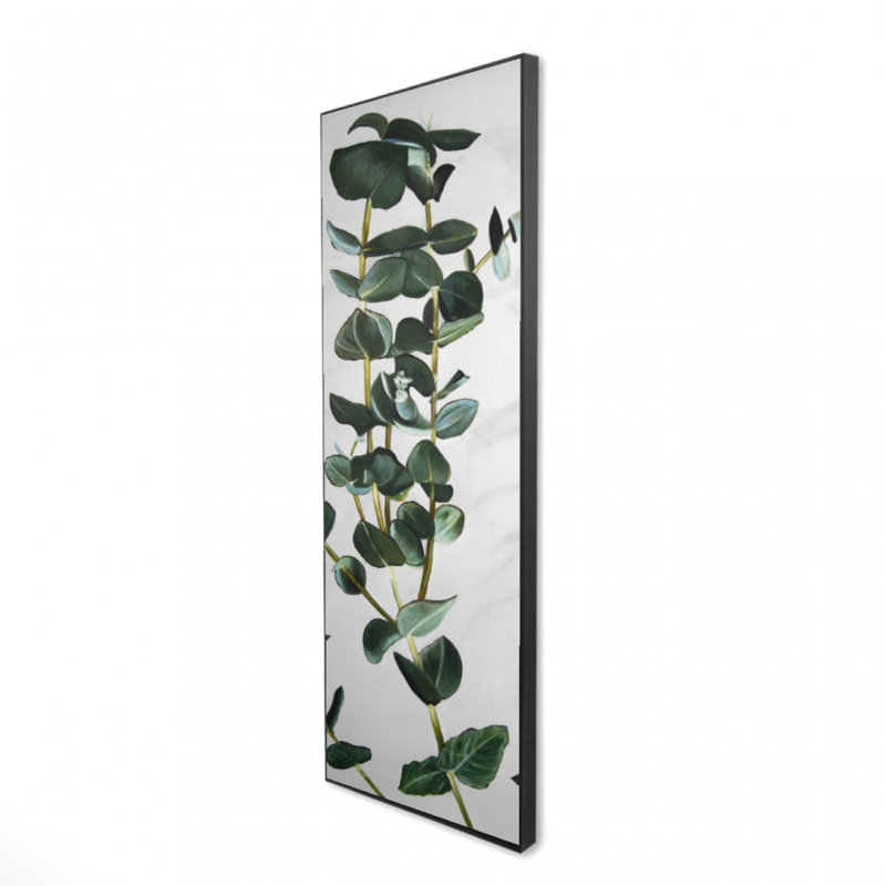 " Eucalyptus Stems "