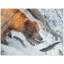 Ours nourrissant une reproduction - faune, art mural - scène de pêche avec ours, affiche sur toile - forêt de rivière, reproduction de chalet rustique-1133368359-1133368360