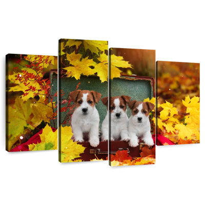 Chiots d'automne Brampt