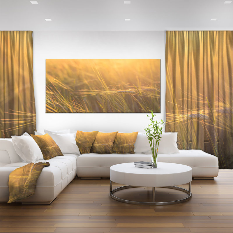 «Wheat Field Close-up at Sunset», reproduction de photo sur toile tendue, H 30 po x l 40 po