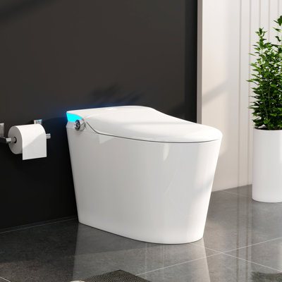 Smart Tankless Toilet With Night Light, Auto Open/Close, Bidet & Warm Seat