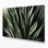 «Botanical Snake Plant», art mural sur toile verte