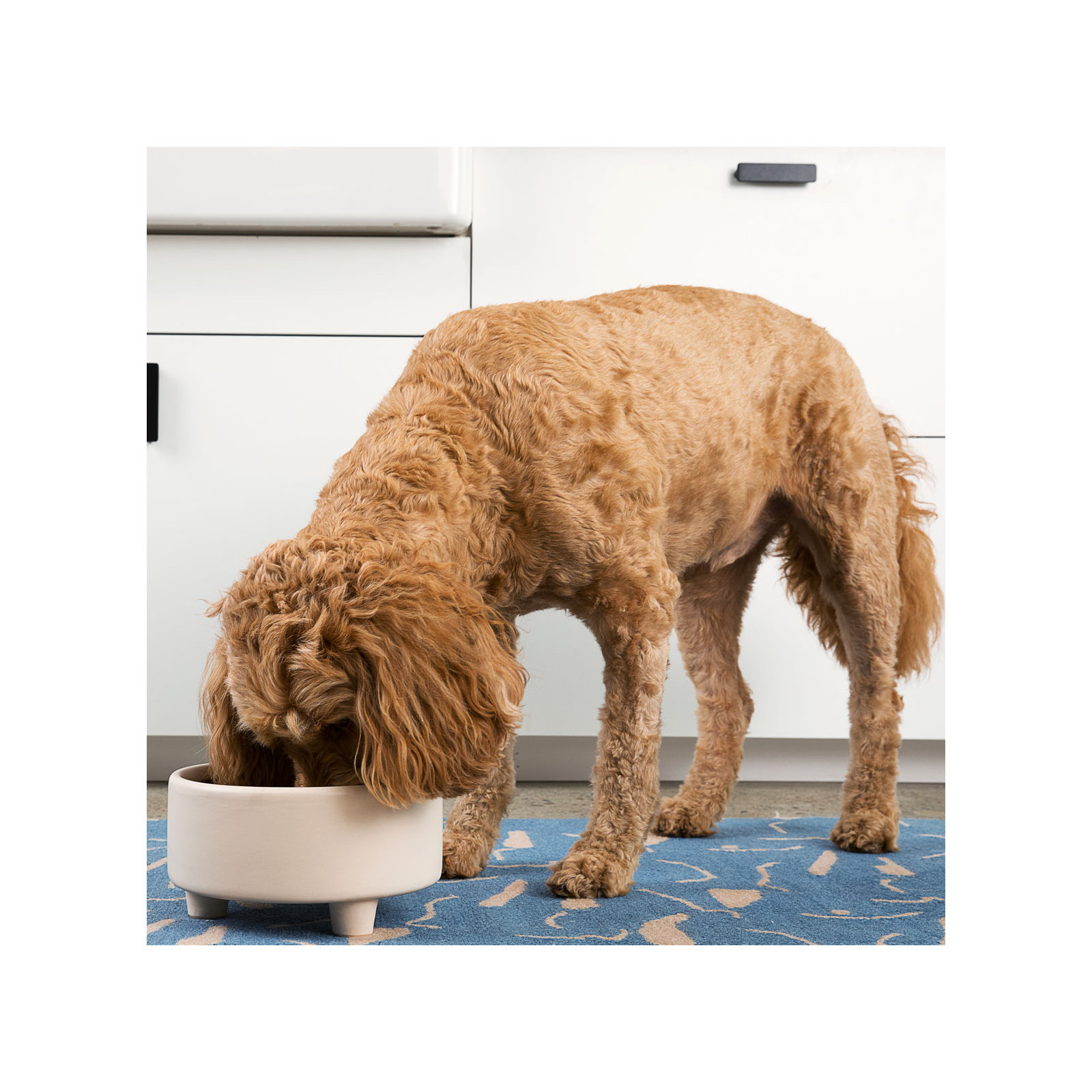 Uplift Ceramic Dog Bowl, Buttercream, Large (8 cups / 64 fluid oz)