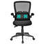 Ebern Designs Briaca Executive Chair