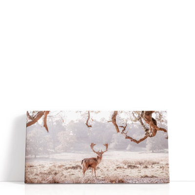 «Stag in a Field», reproduction d'art sur toile