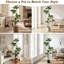 Fausse plante-1782331778