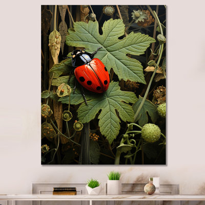 " Ladybug Ladybugs Leisure "