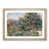 Oak Framed selected