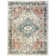 Oriental Indoor Rug