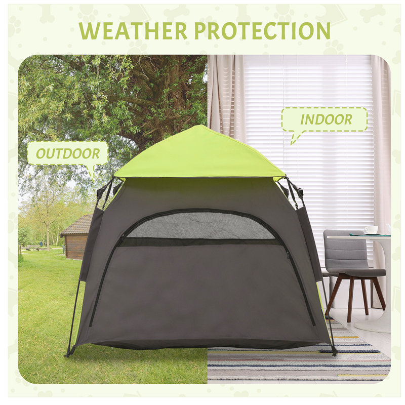 Pop Up Dog Tent