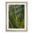 Oak Framed