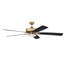 Ventilateur de plafond 60 po avec lumières DEL-1855135167