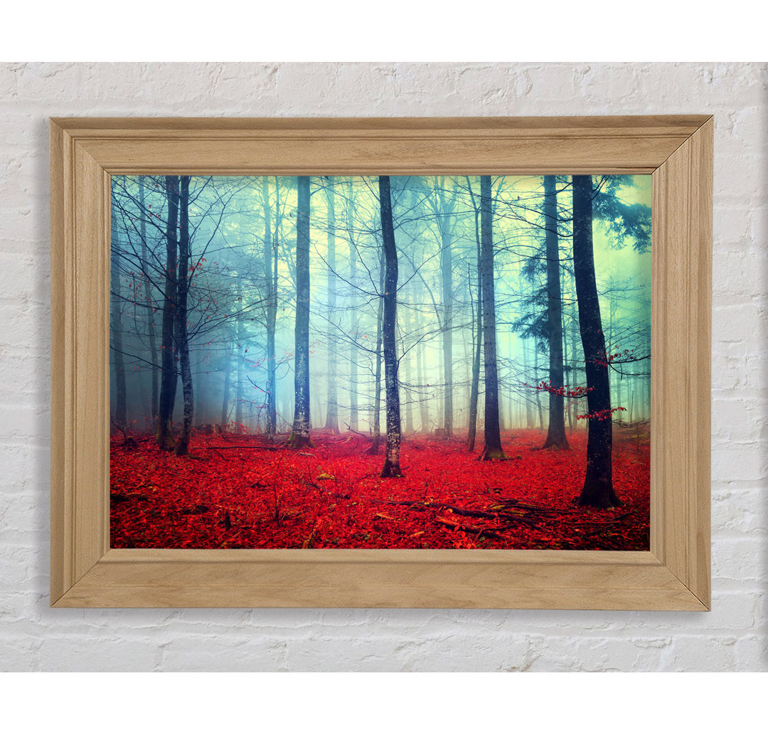 Mist In The Red Forest - Einzelne Bilderrahmen Kunstdrucke