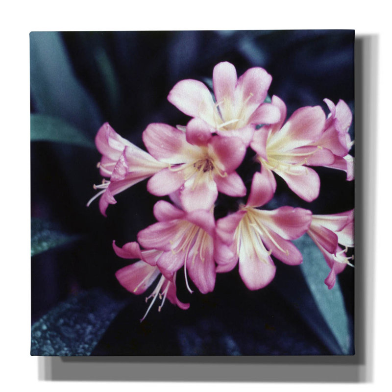 Fleur rose 2 par PhotoINC Studio, H 37 po x l 37 po x P 1,5 po